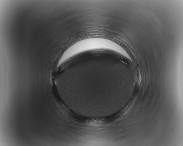 X0000088670512200706071502