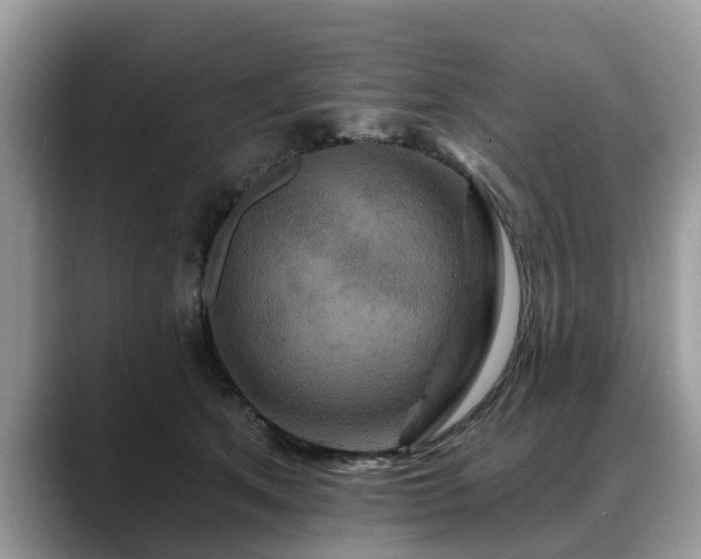 X0000088670513200706071502