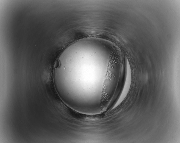 X0000088670515200706071502