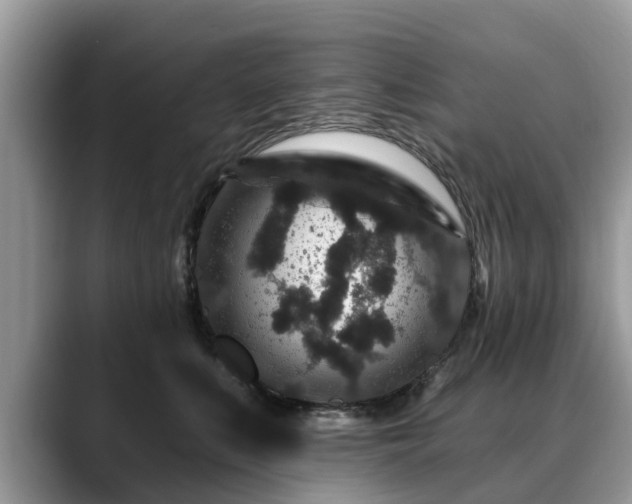 X0000088670519200706071502