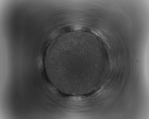 X0000088670524200706071502