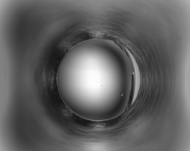 X0000088670525200706071502