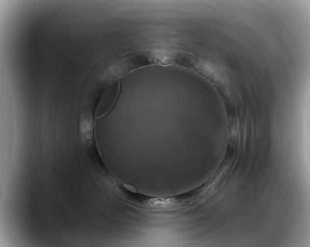 X0000088670526200706071502