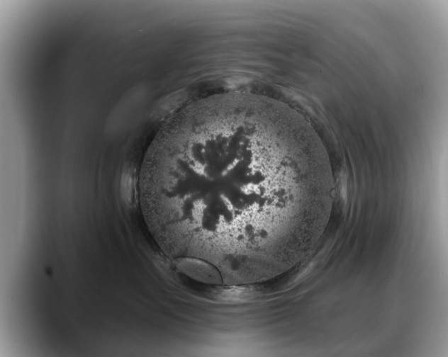 X0000088670527200706071502
