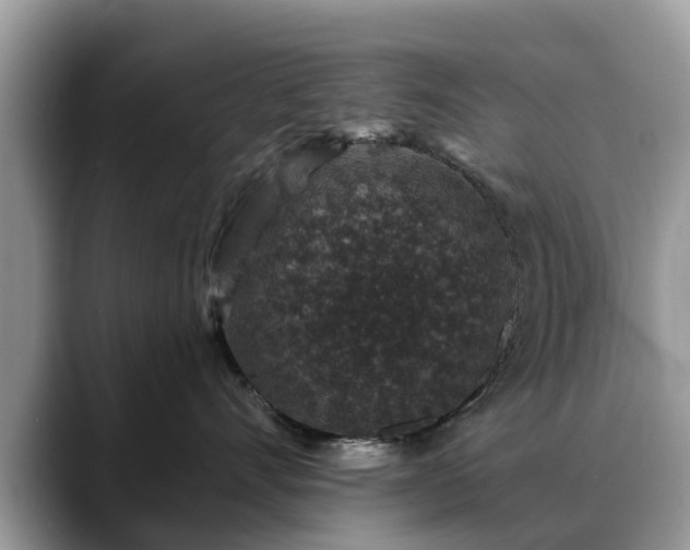 X0000088670528200706071502