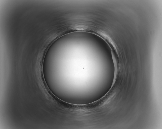 X0000088670529200706071501
