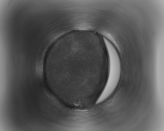 X0000088670531200706071501