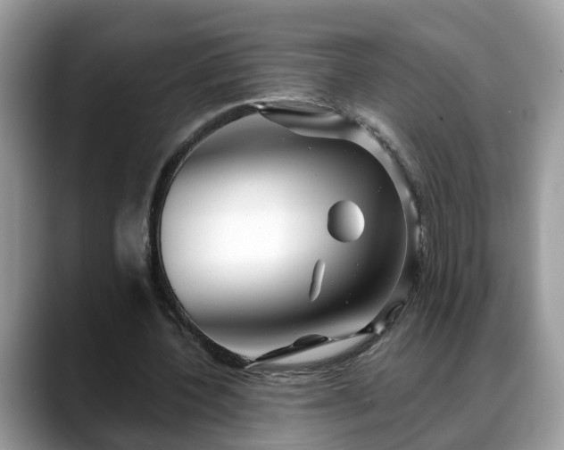 X0000088670532200706071501