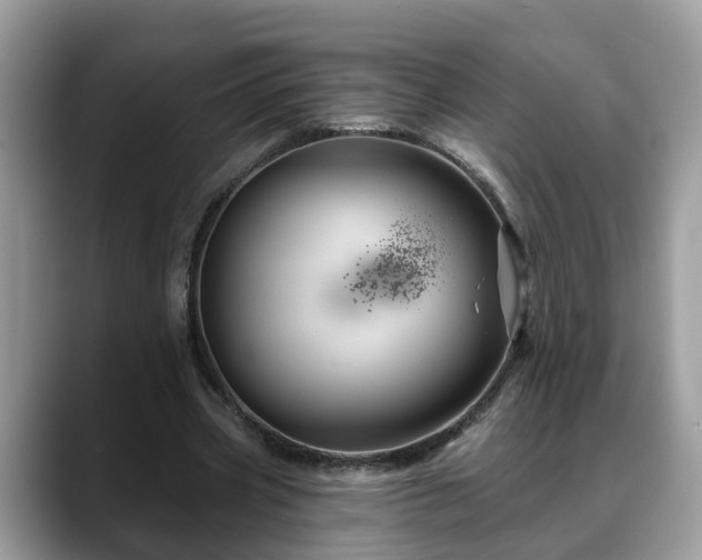 X0000088670533200706071501
