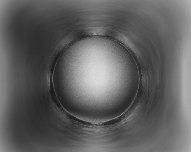 X0000088670537200706071501