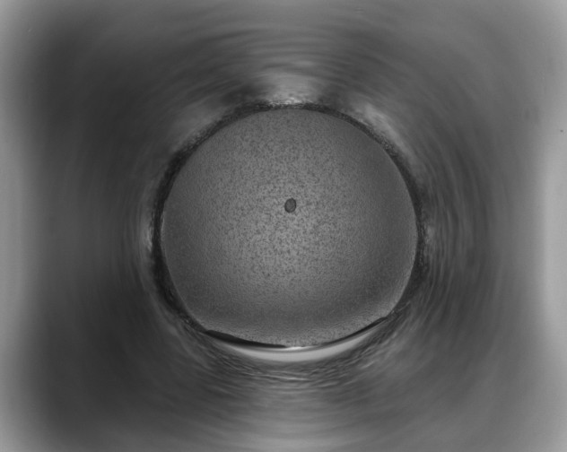 X0000088670539200706071501