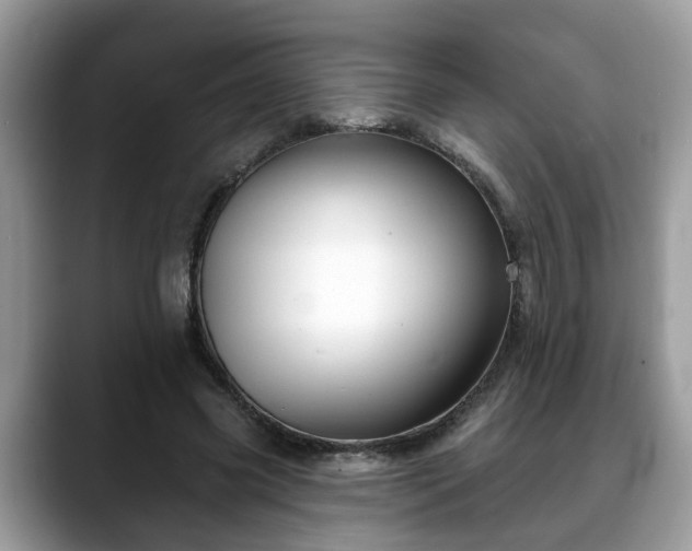 X0000088670541200706071501