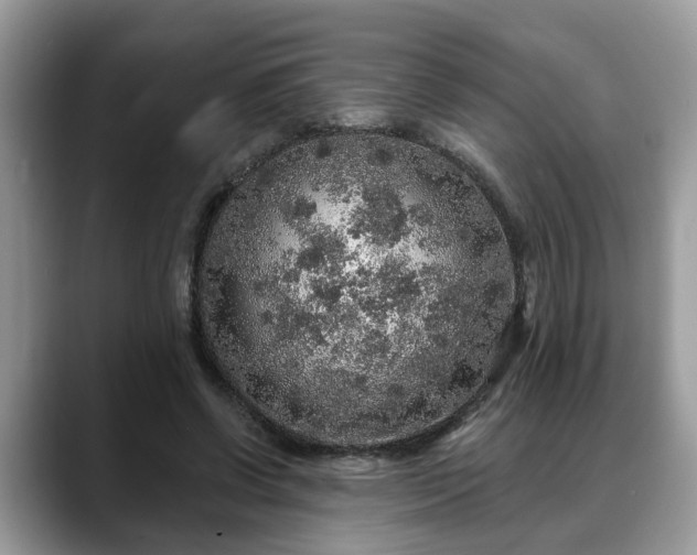 X0000088670542200706071501