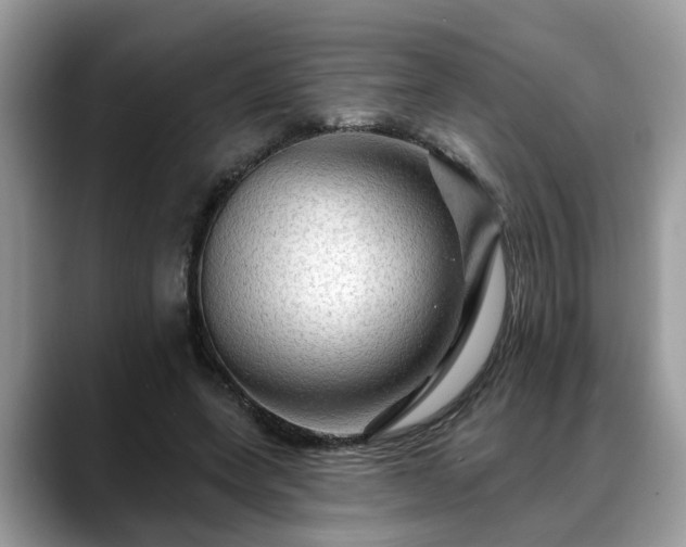 X0000088670543200706071502