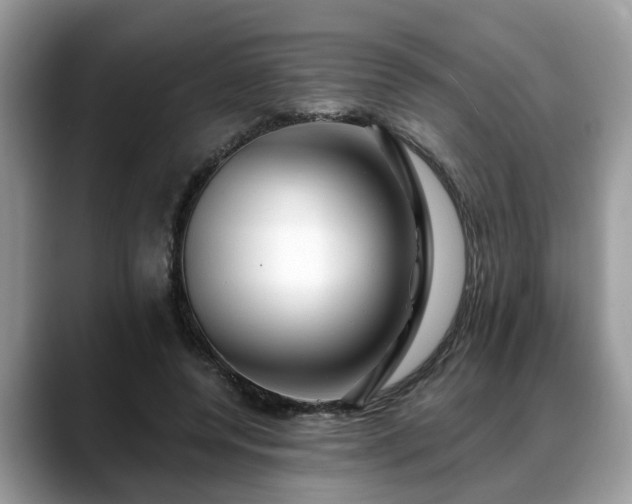 X0000088670544200706071502