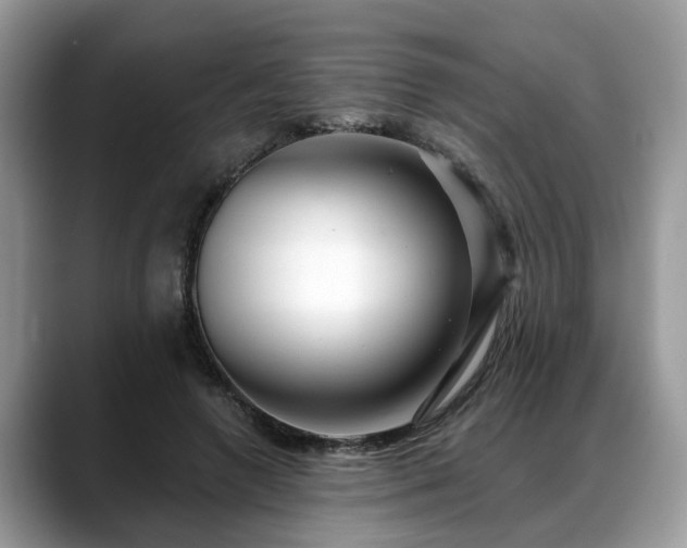 X0000088670546200706071502