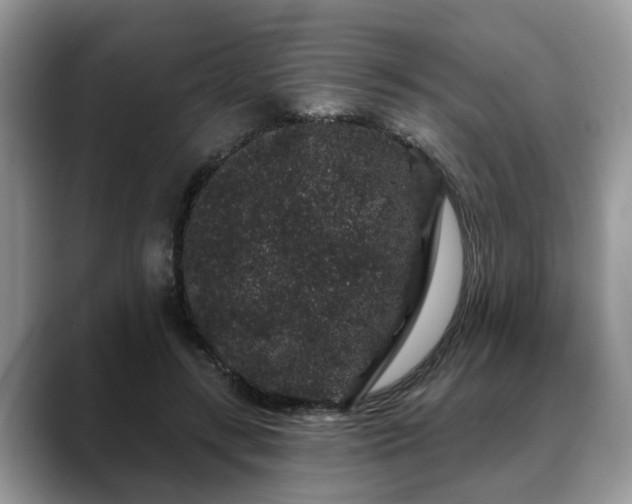 X0000088670547200706071502