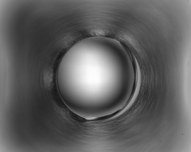 X0000088670548200706071502