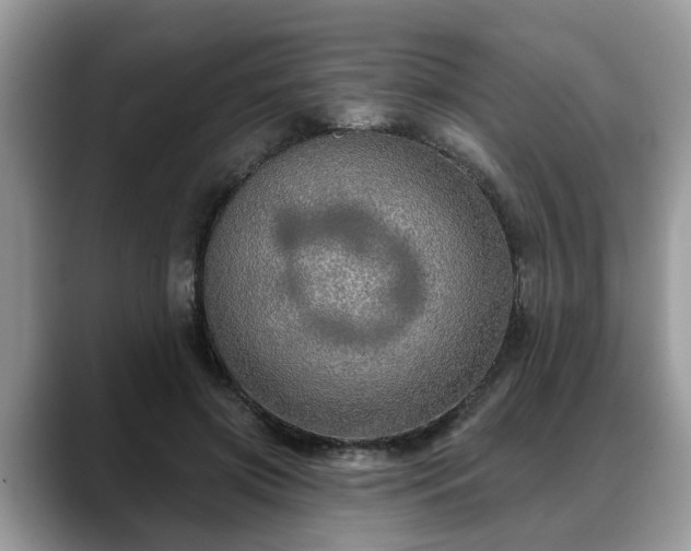X0000088670549200706071502