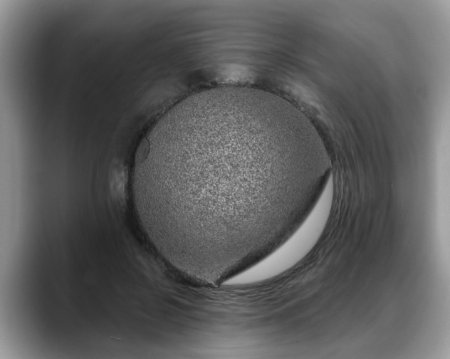 X0000088670550200706071502