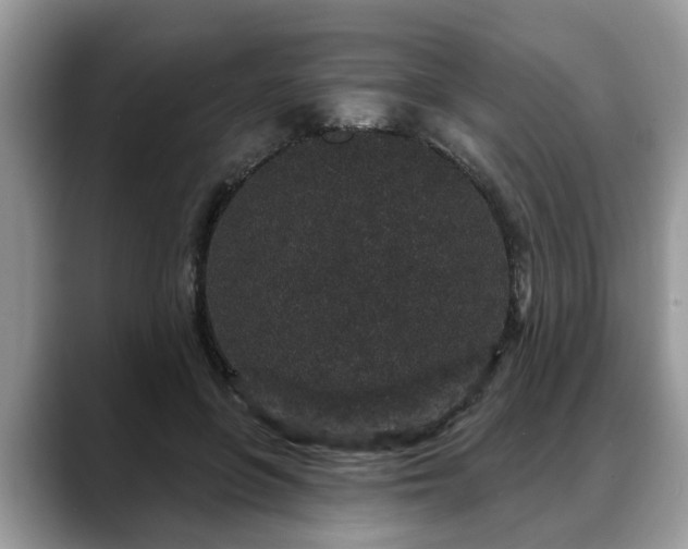 X0000088670551200706071502