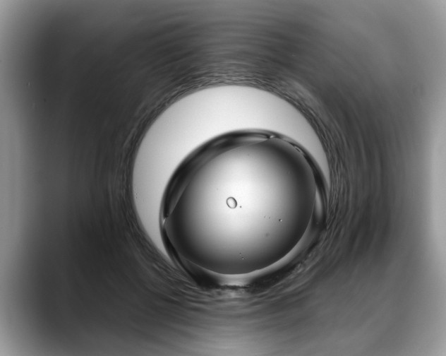 X0000088670552200706071502