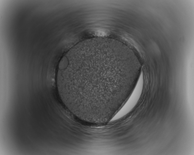 X0000088670553200706071502