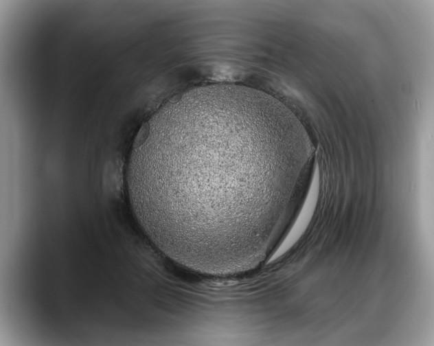 X0000088670554200706071502