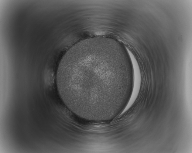 X0000088670555200706071502