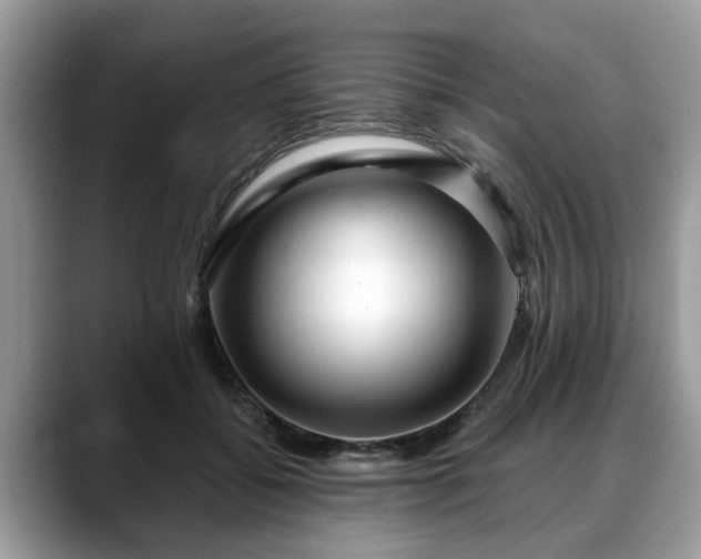 X0000088670556200706071502