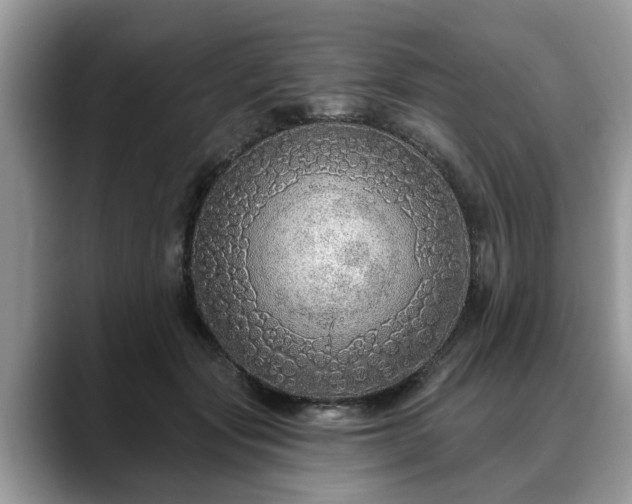 X0000088670557200706071502