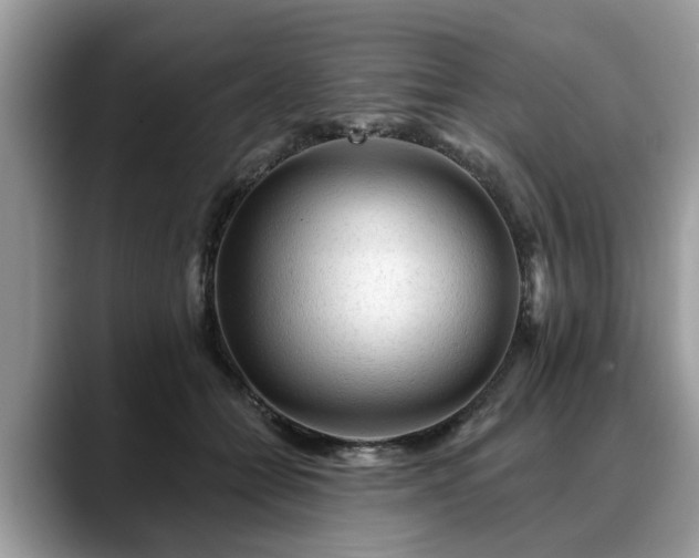 X0000088670558200706071502