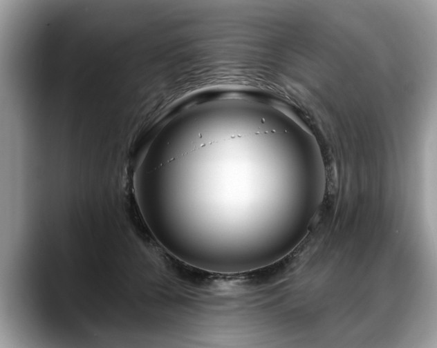 X0000088670560200706071502