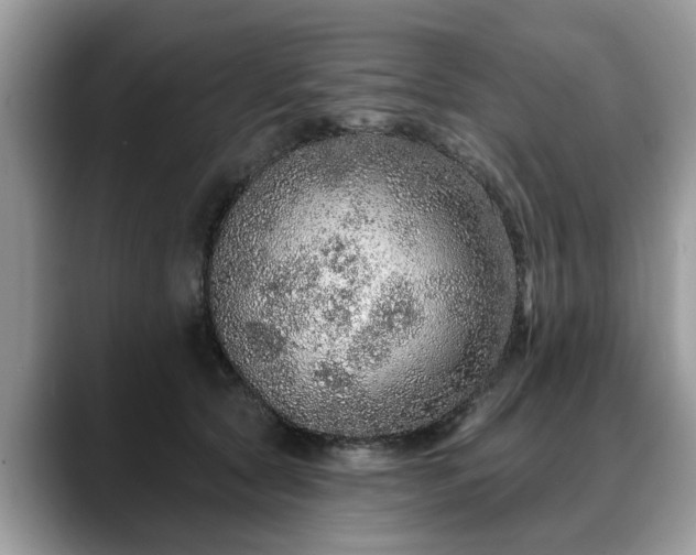 X0000088670561200706071502