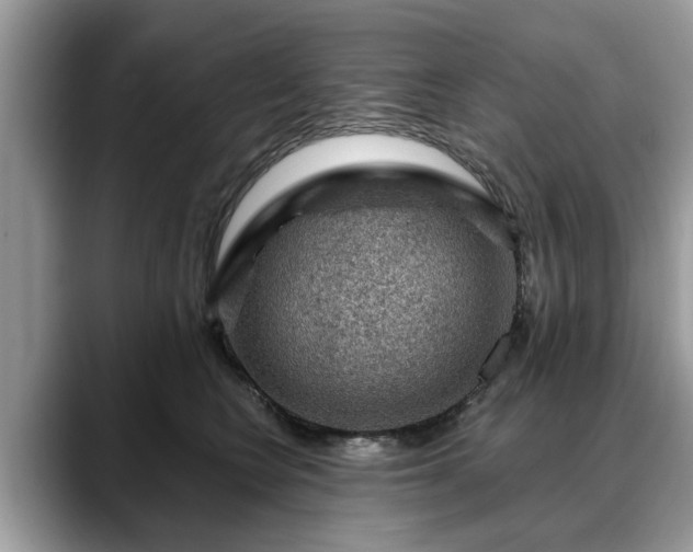 X0000088670566200706071502