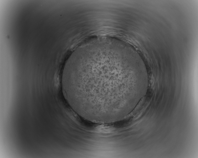 X0000088670568200706071502
