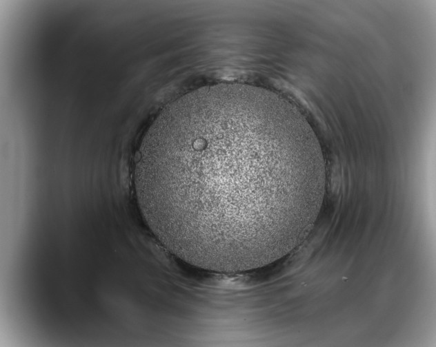 X0000088670569200706071502