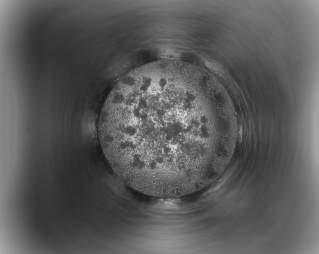 X0000088670573200706071502