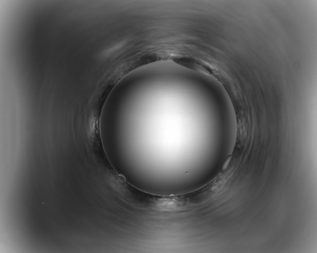 X0000088670574200706071502