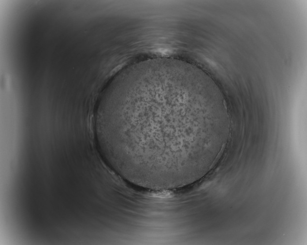 X0000088670576200706071502