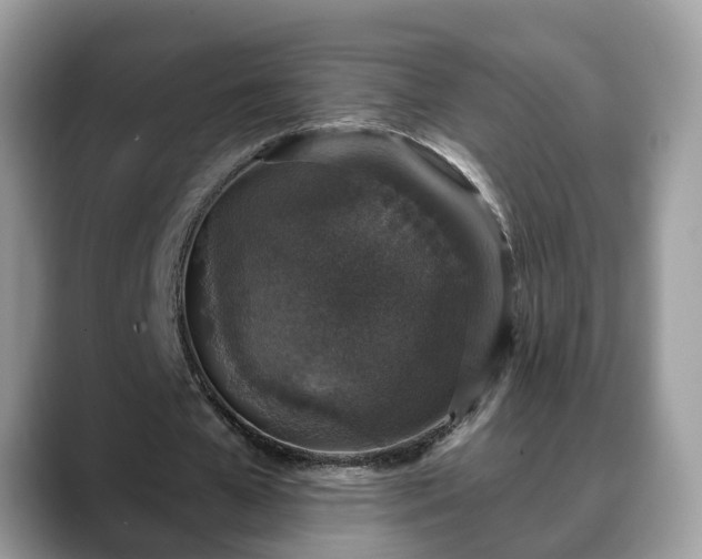 X0000088670577200706071501