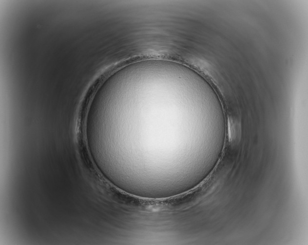 X0000088670579200706071501