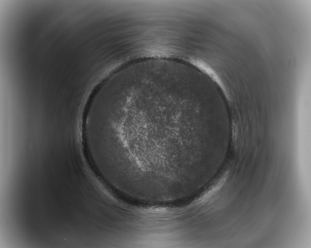 X0000088670581200706071501