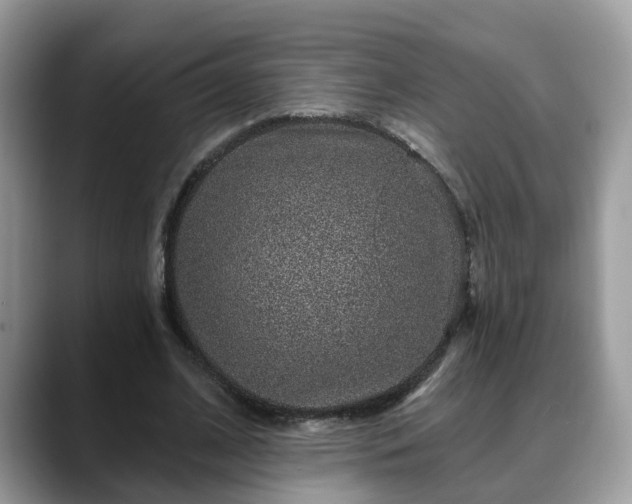 X0000088670584200706071501