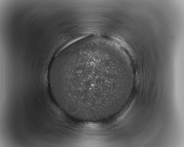 X0000088670585200706071501