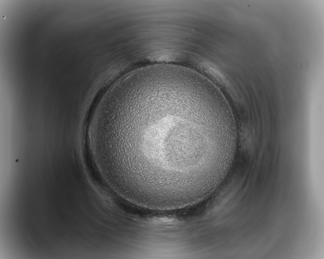 X0000088670586200706071501