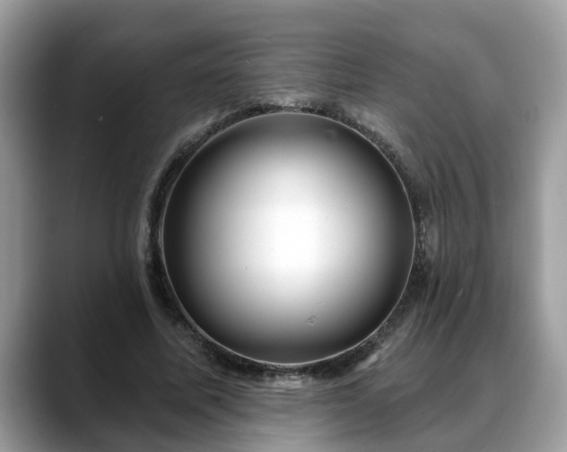 X0000088670587200706071501