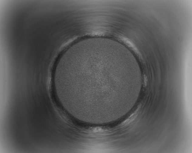 X0000088670588200706071501
