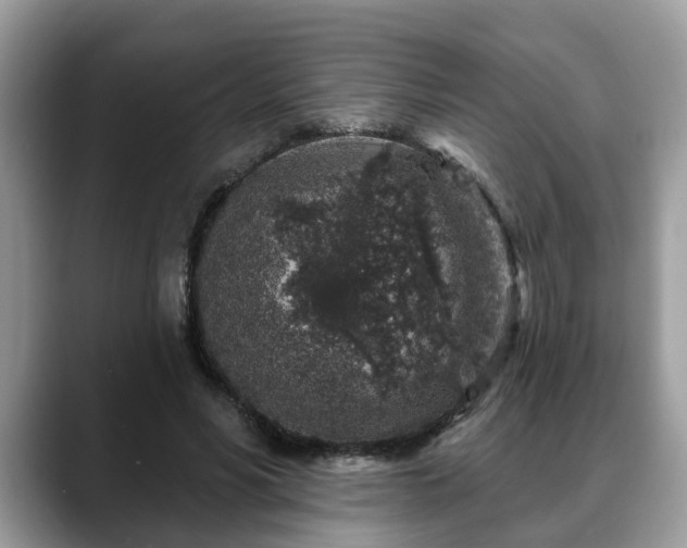 X0000088670590200706071501