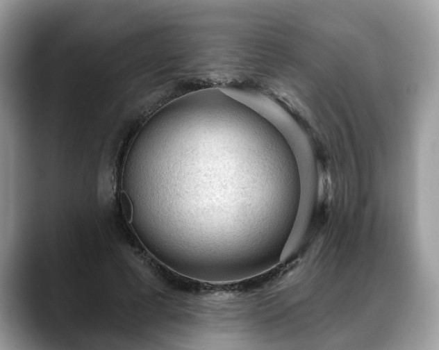X0000088670593200706071501
